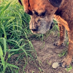 Meet your Posher, Jenna